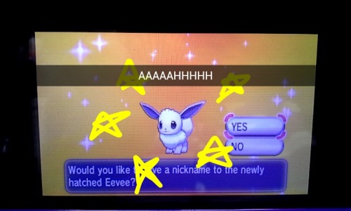 I HAVE BEEN TRYING TO GET A SHINY EEVEE SINCE JANUARY AND I JUST GOT 2 IN ONE NIGHT????