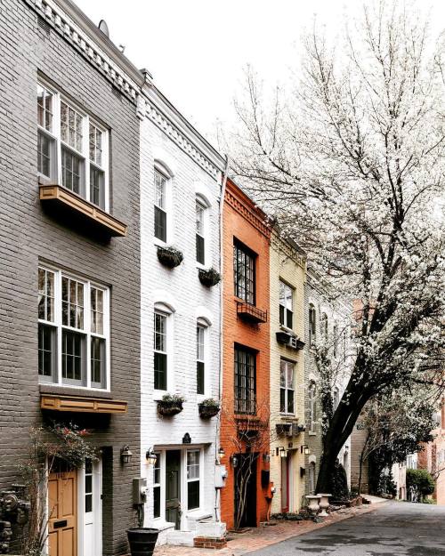 itaintnobiggie:dccitygirl | Georgetown, DC