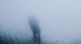 elenasgilbert:what if there’s a new predator out there? one that we haven’t seen before. - siren (1.