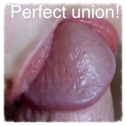 sissy-to-use:  Oh Yes…My Mouth and ALL Cocks…