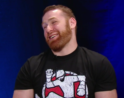 sunshinesamizayn:  The four stages of a radiant smile, presented to you by Sami Zayn.