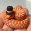 snake-detector