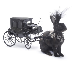 beautifulbizarremag:  ‘Rabbit  Drawn Carriage’, Rabbit, black garnet, Akoya pearls, sterling silver,  powdered diamonds, egret feathers, wood &amp; glass by Julia deVille in beautiful.bizarre Issue 009  Get the beautiful.bizarre digital e-Book via