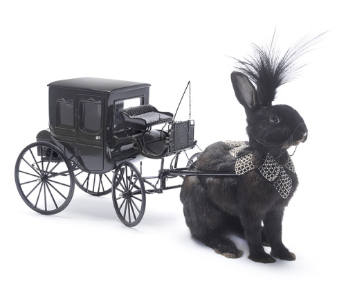 beautifulbizarremag:  ‘Rabbit  Drawn Carriage’, porn pictures