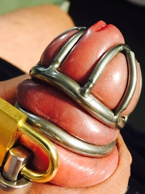 bigbuttlimpclitsissy:  I’m a proud owner of a constantly locked small pink clit, and its pussy free