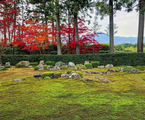 ⛳️1552. 圓通寺庭園 Entsu-ji Temple Garden, Kyoto 京都を代表する #借景庭園 の一つ。 午前中、宝ケ池の方に用事があり出掛けたのでその足で1年半ぶりの円通寺へ 宝