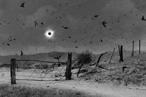 tsdadd:Antonio Turok, Solar Eclipse, 1991