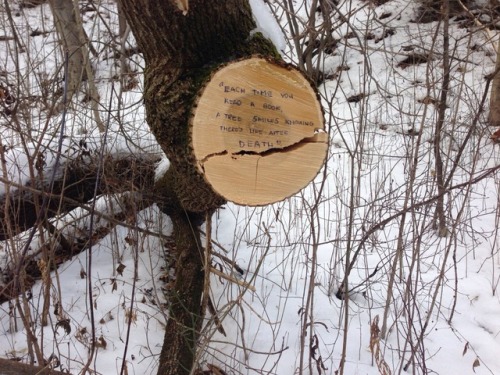 summercollapsedintofall: &ldquo;Each time you read a book, a tree smiles knowing there’s l