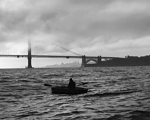 thegretagerwig:THE LAST BLACK MAN IN SAN FRANCISCO (2019)dir. Joe Talbot