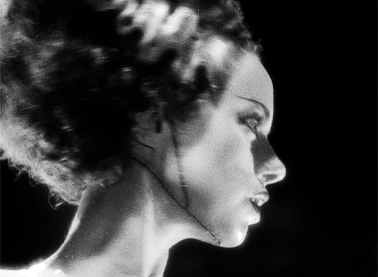 littlehorrorshop:Elsa Lanchester in Bride of Frankenstein (1935)
