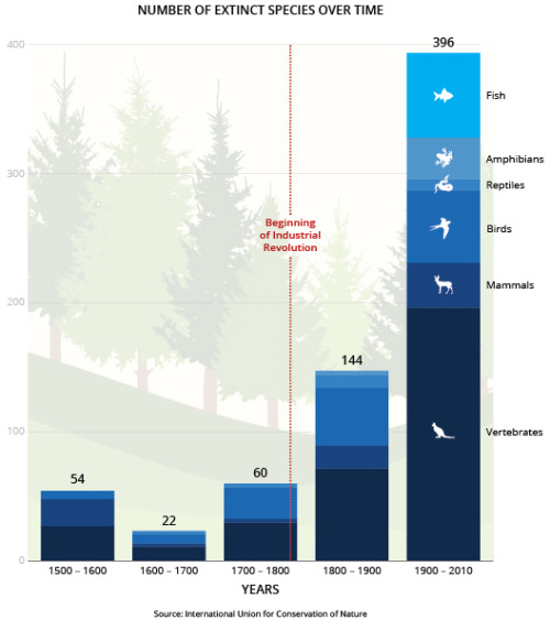 s-c-i-guy:The Sixth ExtinctionThis chart shows the enormous uptick in species extinction over the la