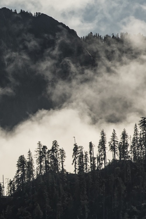 decepticun:Mist rolling in | by Pipe Dreamer