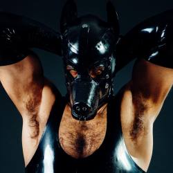 leather-big-wolf:COME SMELL MY #armpits #sweatybeast
