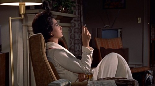“It’s the end of the world.”The Birds (1963)