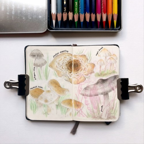 A While Ago I Dug Out A Teeny Tiny Notebook (only 6.5x10.5cm) I'd Never Finished And Started Drawing