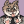 gayerthanthefourthofjuly:  rokami:  i was playing FFXIV with @stfuadachi​ and a