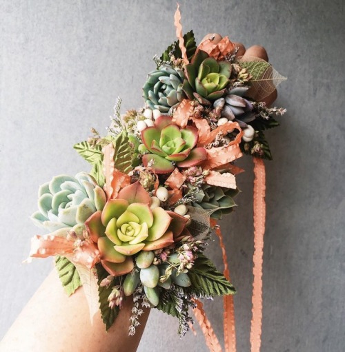 sosuperawesome: Succulents Crowns, Hair Combs, porn pictures
