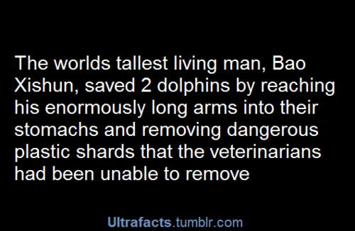 ultrafacts:  More facts on Ultrafacts