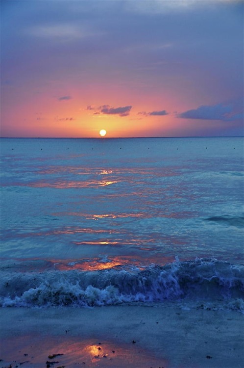 disminucion:  by Valerie Rosen