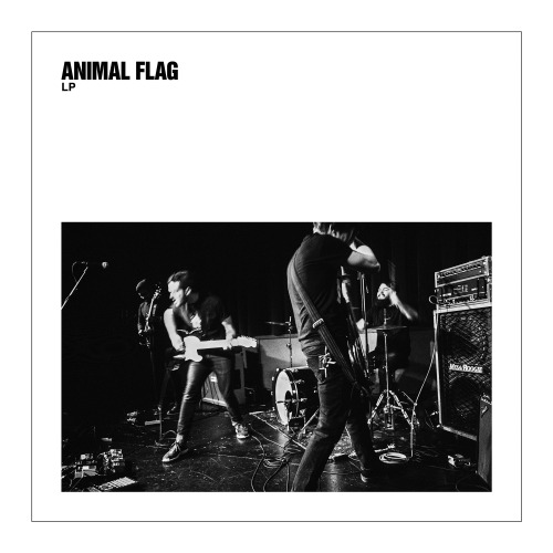 nickdinatale:Photographed this cover for Animal Flag’s debut full length, LP, which is out today. Pu