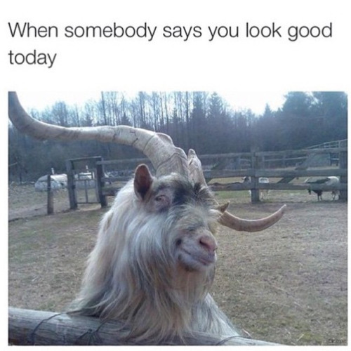 relatable-memes:  want relatable memes on your dash?
