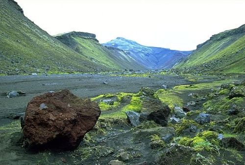 The floor of Eldgjá (Iceland), the largest volcanic canyon in the world.  It is about 40km long, 600