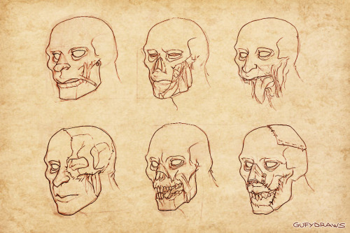 garrison-of-misfits:Part 2 of my project on the hypothetical anatomy of World of Warcraft’s Horde ra