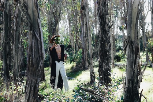 iamcvn:“Be careful in the forest, you never know what you may encounter”Hey Coven, long time not see