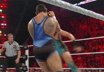 wrestlingoutofcontext:  Damn nature, you scary!