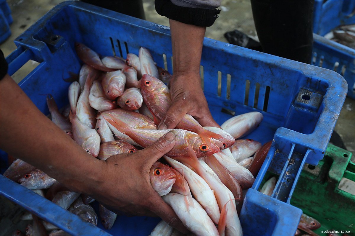 kufiyah: April 5th, 2016 | Gaza City, Palestine After Gaza’s fishing radius was