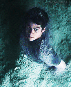  Stiles Stilinski + The Elements 