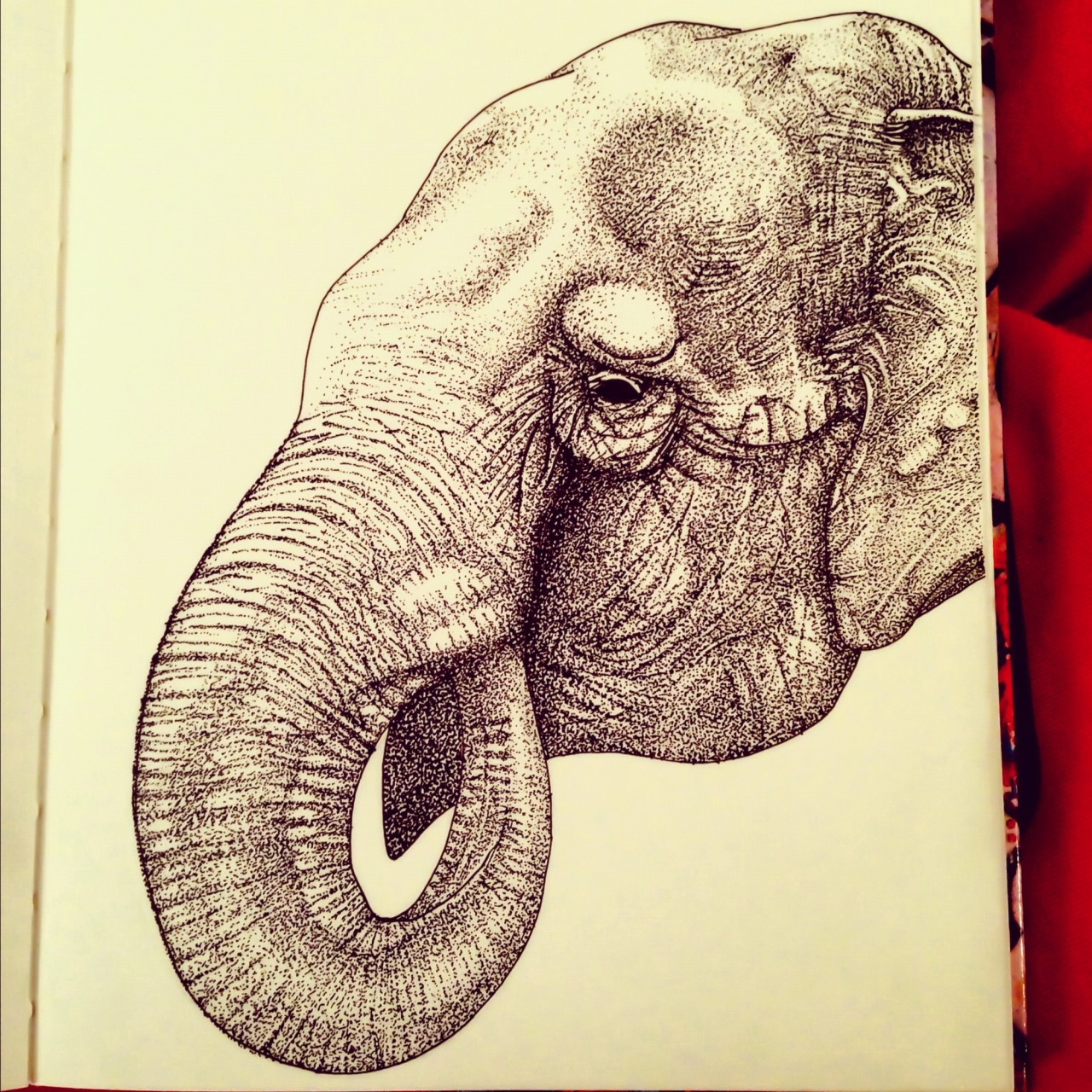 Asian elephant pen illustration.
By mongo gushi.