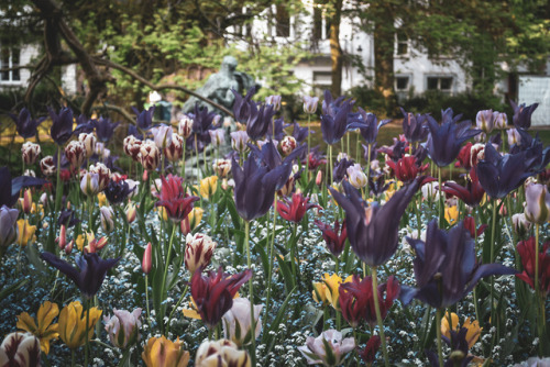 Koningin Astridpark, Bruges 