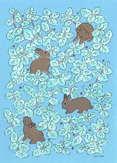 schinako:Chocolate colored rabbits and mints