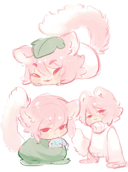 shavostars:i painted a furry fox and then drew cute cat boys.the pink one’s name is Mochi. 