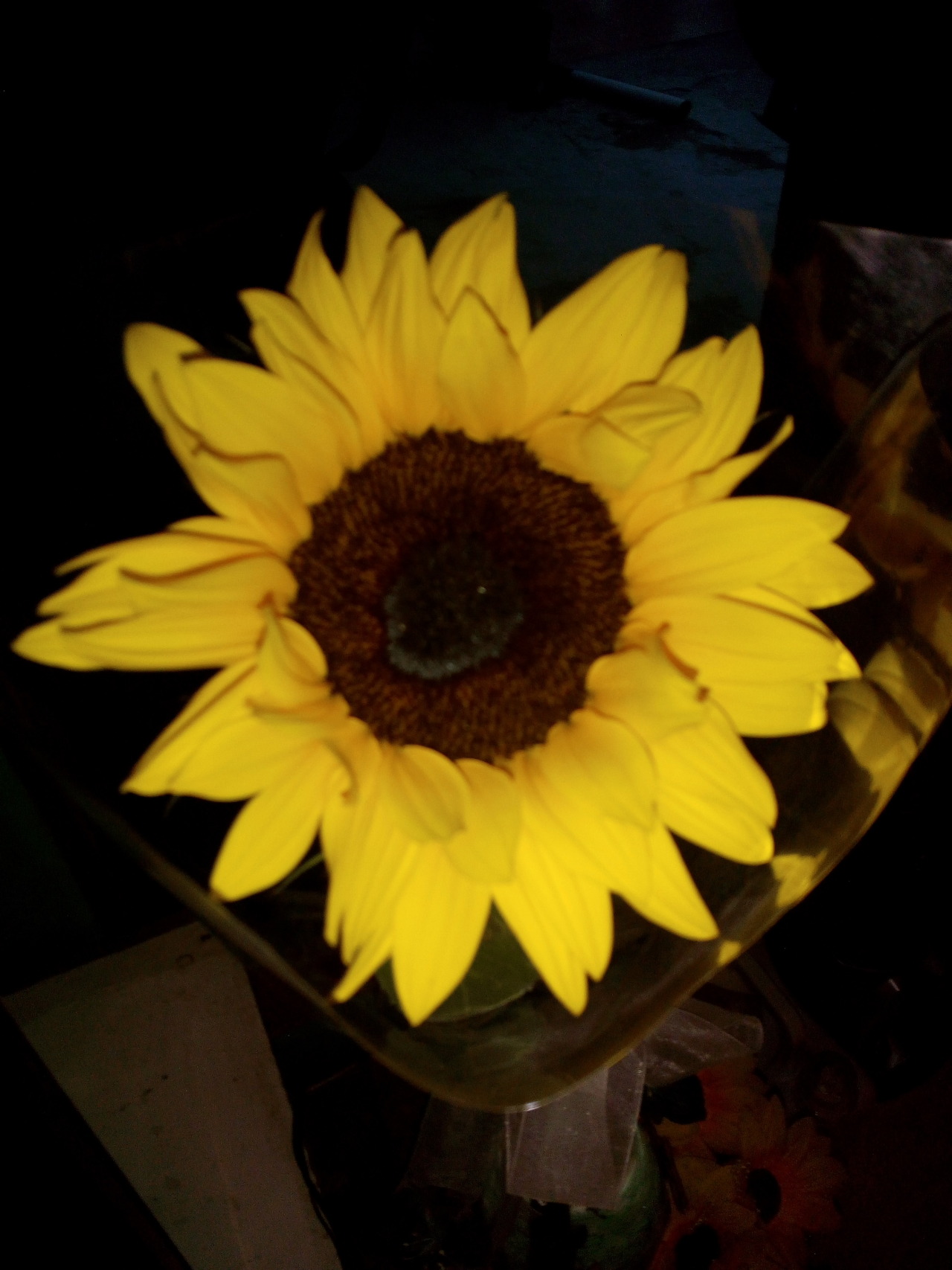 tengonovioynomiroanadiemas:  En el lenguaje de las flores el girasol significa: “te admiro”. El amarillo significa “eres mi sol” . “Solo tengo ojos para ti, y como el girasol, yo me giraré siempre hacia ti” y el naranja es la fidelidad en