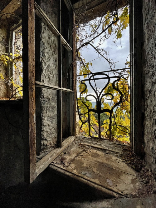 Old window