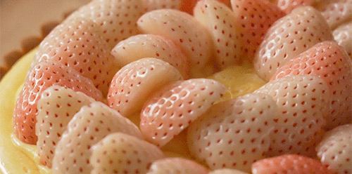 foodxpron:white strawberry tart