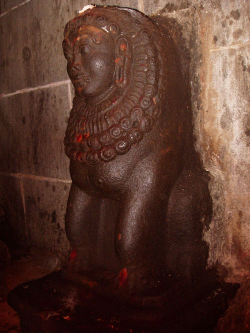 Purushamriga, Chindambram