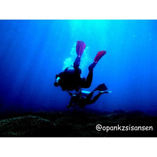 Safety stop #bonsayrock #labuanbajo #cndive #komodo #flores #ntt #indonesia #scubadive #diving #unde