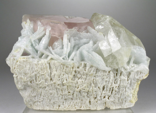 ggeology:    Morganite, Quartz, Cleavelandite, and Albite // Dara-i-Pech pegmatite field, Nuristan, Afghanistan    