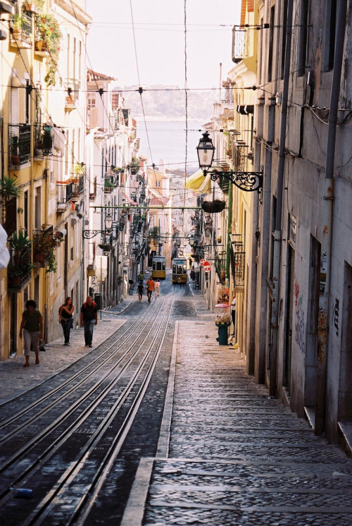 travelingcolors: Elevador da Bica, Lisbon | Portugal (by julencin2000)