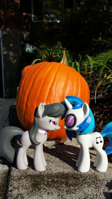 pixelkitties:  The new Funko Octavia toy