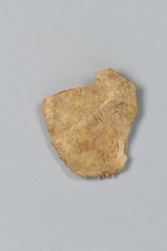 Oracle bone fragment, 13th–11th century B.C., Metropolitan Museum of Art: Asian ArtRogers Fund