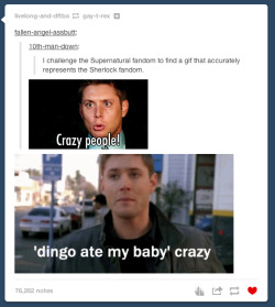 itsstuckyinmyhead:  Either you hate them or you love them but there is no denying that the Supernatural fandom has a gif for everything  