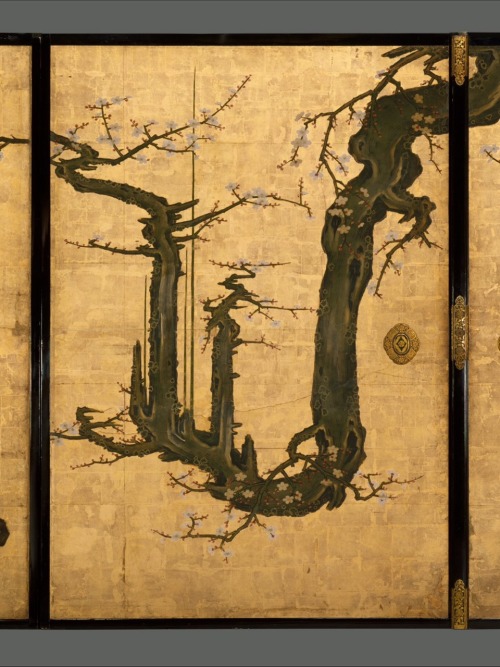 老梅図襖, Old Plum, Kano Sansetsu (Japanese, 1590–1651)