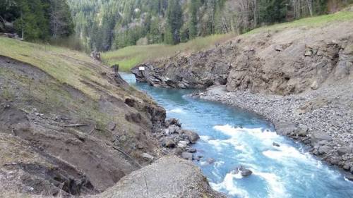 dollar-bin-jazz:Geology fun day on the Olympic Peninsula.