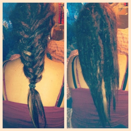 wildf0xes12:  Just did this pretty kittens dreadlocks. Only took 9 hours! 