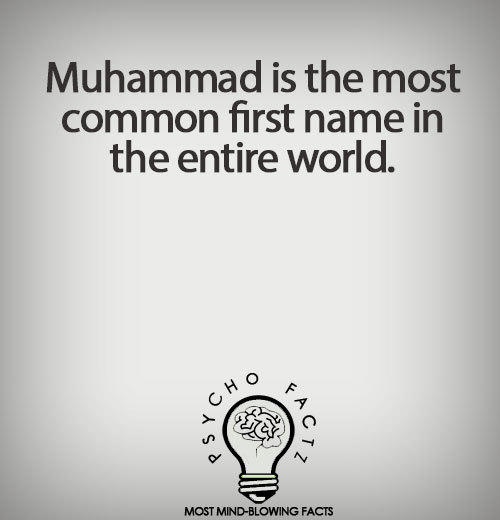 PsychoFact - Fun, interesting, and weird facts!