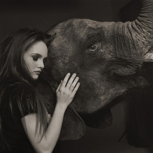 Singer and actress Vanessa Paradis with  elephant, 1991 by  Michel Comte